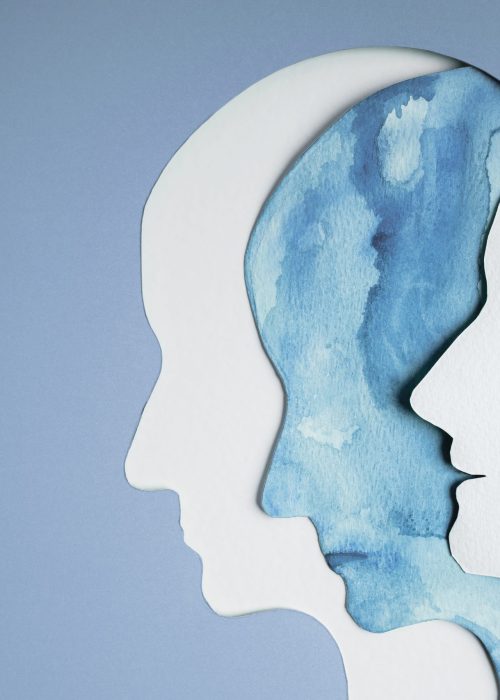 Mental Health Disorder Concept. Bipolar Disorder Person. Unstable Psycho. Layers of Paper Cut as Human Head presenting Different of Emotions. Happiness and Depression Emotion inside